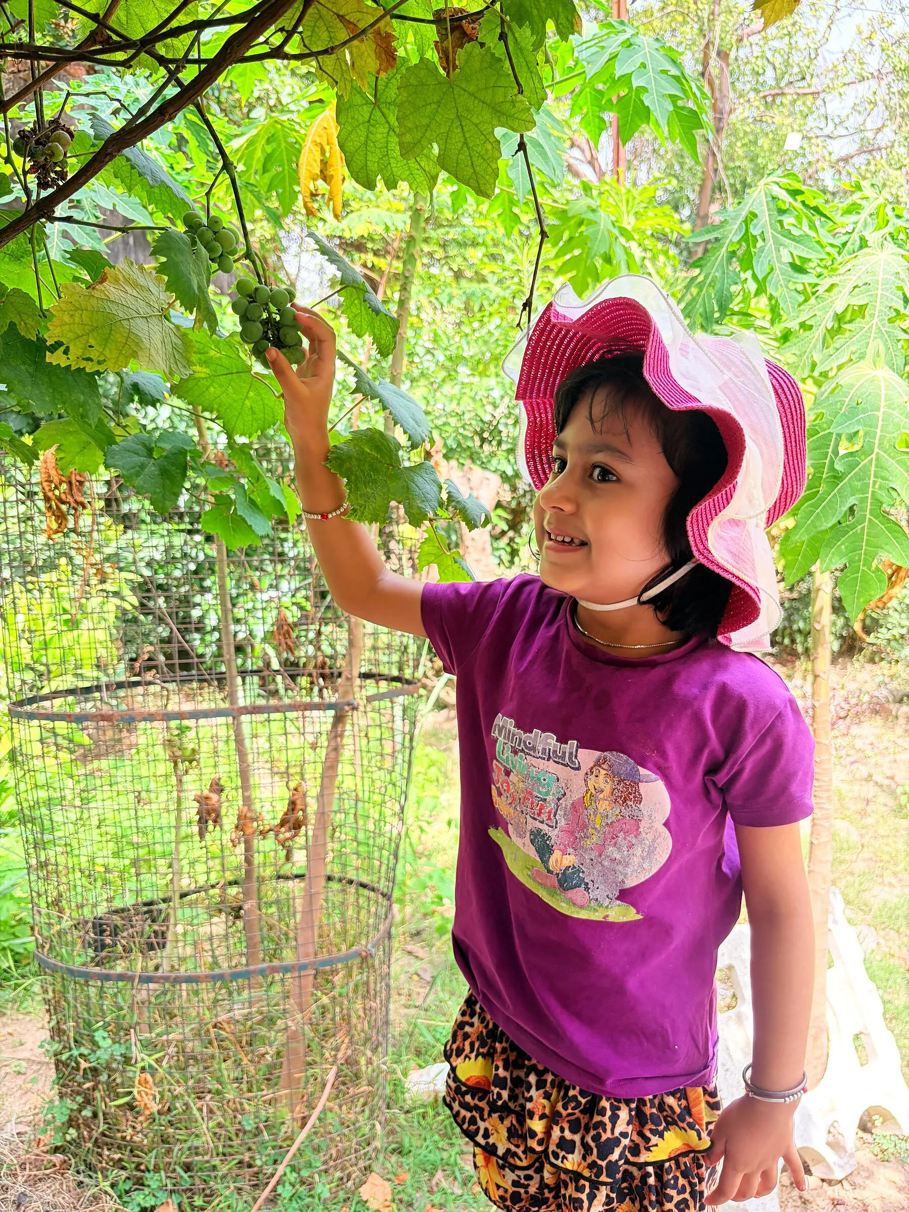 A girl in a sun hat reaching up to the leaves of a vine in the garden